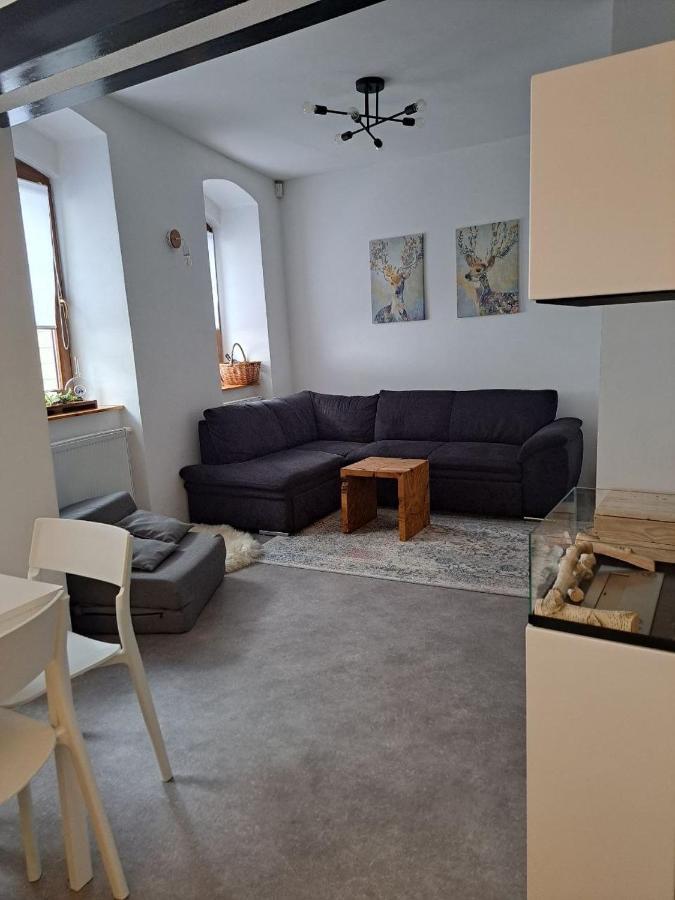 Casa Santini Villa Jachymov Bagian luar foto